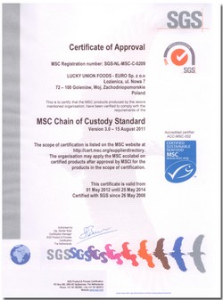 MSC Standard